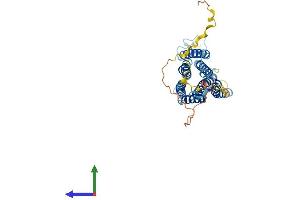 Protein Structure (PS) image for G Protein-Coupled Receptor, Family C, Group 5, Member A (GPRC5A) (AA 1-356) protein (His tag) (ABIN7558648)