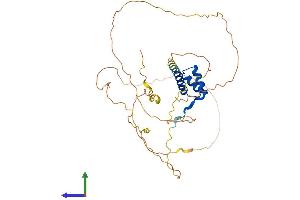 Protein Structure (PS) image for NK2 Homeobox 1 (NKX2-1) (AA 1-371) protein (His tag) (ABIN7549864)