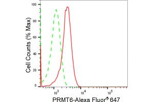 anti-Protein Arginine Methyltransferase 6 (PRMT6) antibody