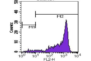 Flow Cytometry (FACS) image for anti-CD45RB (CD45RB) antibody (PE) (ABIN2144900) (CD45RB 抗体  (PE))