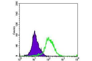 Flow cytometric analysis of K562 cells using AURKA mouse mAb (green) and negative control (purple). (Aurora A 抗体)