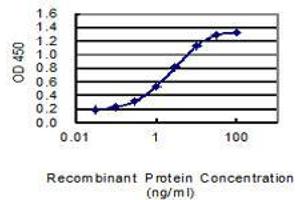 Detection limit for recombinant GST tagged DSCR6 is 0. (RIPPLY3 抗体  (AA 1-190))