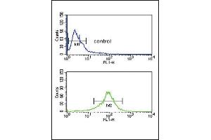 Flow Cytometry (FACS) image for anti-Glutamic-Oxaloacetic Transaminase 1, Soluble (Aspartate Aminotransferase 1) (GOT1) (AA 352-381), (C-Term) antibody (ABIN650770)
