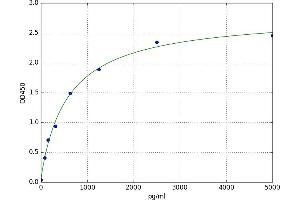 Somatostatin Receptor 2 (SSTR2) ELISA Kit