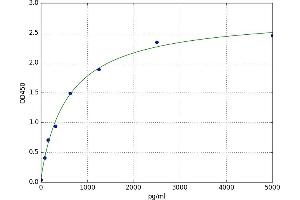 A typical standard curve (SSTR2 ELISA 试剂盒)