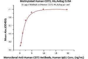 Immobilized Biotinylated Human CD73, His,Avitag (ABIN6810044,ABIN6938889) at 1 μg/mL (100 μL/well) on Streptavidin  precoated (0.