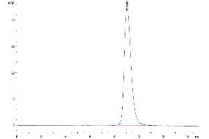 The purity of Mouse NKp46 is greater than 95 % as determined by SEC-HPLC. (NCR1 Protein (AA 22-255) (His tag))