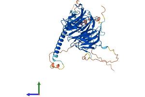Protein Structure (PS) image for WD Repeat Domain 37 (WDR37) (AA 1-494) protein (His tag) (ABIN7545164)