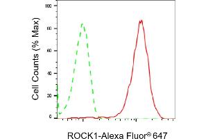 Flow cytometric analysis of ROCK1 expression in HeLa cells using ROCK1 antibody (ABIN7800204), 1:2,000). (Recombinant ROCK1 抗体)
