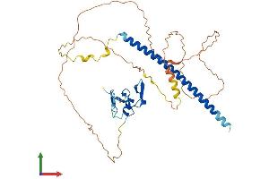 Protein Structure (PS) image for THAP Domain Containing 5 (THAP5) (AA 1-395) protein (His tag) (ABIN7544250)