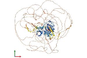 Protein Structure (PS) image for Cdc2-Related Kinase, Arginine/serine-Rich (CRKRS) (AA 1-1484) protein (His tag) (ABIN7563636)