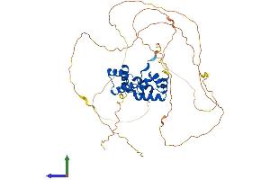 AlphaFold protein structure predicition of Mouse Recombinant Onecut1 Protein, UniprotID O08755 (ONECUT1 Protein (AA 1-465) (His tag))