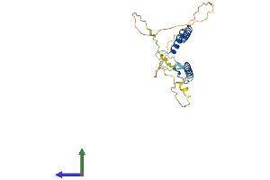 AlphaFold protein structure predicition of Mouse Recombinant Rfxap Protein, UniprotID Q8VCG9