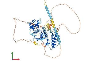 Protein Structure (PS) image for RIO Kinase 2 (RIOK2) (AA 1-552) protein (His tag) (ABIN7551358)