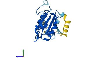 AlphaFold protein structure predicition of Mouse Recombinant Sar1a Protein, UniprotID P36536
