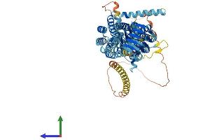 Protein Structure (PS) image for Synaptic Vesicle Glycoprotein 2A (SV2A) (AA 1-742) protein (His tag) (ABIN7555632)