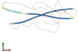 Protein Structure (PS) image for Cytokeratin-2P (KRT76) (AA 1-638) protein (His tag) (ABIN7548654)