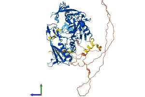 Protein Structure (PS) image for Deltex Homolog 4 (Drosophila) (DTX4) (AA 1-616) protein (His tag) (ABIN7558050)