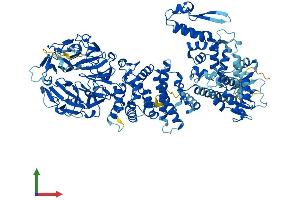 Protein Structure (PS) image for Hect Domain and RLD 4 (HERC4) (AA 1-1057) protein (His tag) (ABIN7554079)