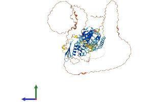 Protein Structure (PS) image for DiGeorge Syndrome Critical Region Gene 8 (DGCR8) (AA 1-773) protein (His tag) (ABIN7553717)