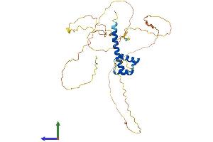 Protein Structure (PS) image for Homeobox C10 (HOXC10) (AA 1-342) protein (His tag) (ABIN7548378)