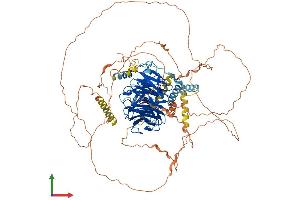 AlphaFold protein structure predicition of Human Recombinant DCAF5 Protein, UniprotID Q96JK2 (DCAF5 Protein (AA 1-942) (His tag))
