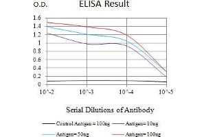 Black line: Control Antigen (100 ng),Purple line: Antigen (10 ng), Blue line: Antigen (50 ng), Red line:Antigen (100 ng) (MYCN 抗体  (AA 337-464))