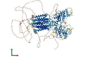 AlphaFold protein structure predicition of Human Recombinant DISP2 Protein, UniprotID A7MBM2 (DISP2 Protein (AA 1-1401) (His tag))