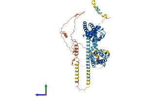 Protein Structure (PS) image for Potassium Voltage-Gated Channel, Shal-Related Subfamily, Member 3 (KCND3) (AA 1-655) protein (His tag) (ABIN7554297)
