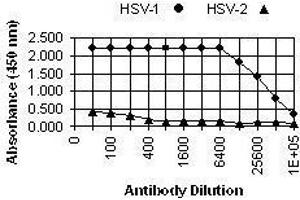 ELISA image for anti-Herpes Simplex Virus Type 1, Glycoprotein G (HSV1 gG) antibody (ABIN265554) (HSV1 gG 抗体)