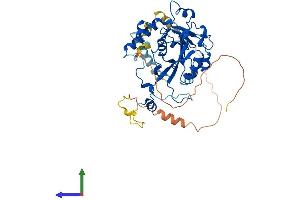 Protein Structure (PS) image for Methyltransferase Like 14 (METTL14) (AA 1-456) protein (His tag) (ABIN7563725)