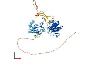 Protein Structure (PS) image for Dual Specificity Phosphatase 7 (DUSP7) (AA 1-419) protein (His tag) (ABIN7547181)