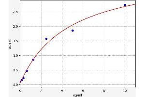 Typical standard curve (CSNK2B ELISA 试剂盒)