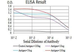 Black line: Control Antigen (100 ng);Purple line: Antigen (10ng); Blue line: Antigen (50 ng); Red line:Antigen (100 ng) (DHX58 抗体  (AA 479-678))