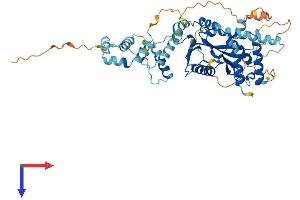 Protein Structure (PS) image for Tigger Transposable Element Derived 4 (TIGD4) (AA 1-512) protein (His tag) (ABIN7544555)