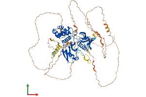 Protein Structure (PS) image for FERM Domain Containing 7 (FRMD7) (AA 1-714) protein (His tag) (ABIN7547784)