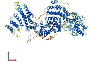 Protein Structure (PS) image for Mediator Complex Subunit 24 (MED24) (AA 1-987) protein (His tag) (ABIN7564884)