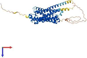 AlphaFold protein structure predicition of Human Recombinant ADRB2 Protein, UniprotID P07550 (beta 2 Adrenergic Receptor Protein (AA 1-413) (His tag))