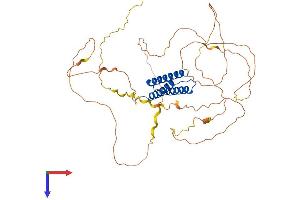 BAG4 Protein (AA 1-457) (His tag)