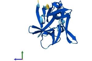AlphaFold protein structure predicition of Human Recombinant IL1F10 Protein, UniprotID Q8WWZ1