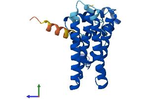 Protein Structure (PS) image for Programmed Cell Death 10 (PDCD10) (AA 1-212) protein (His tag) (ABIN7559890)