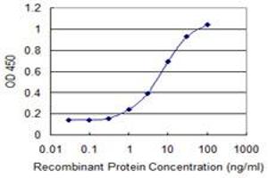 Detection limit for recombinant GST tagged PHLDA1 is 0. (PHLDA1 抗体  (AA 1-109))