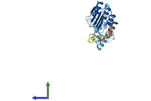 AlphaFold protein structure predicition of Mouse Recombinant Fbxl22 Protein, UniprotID Q8C7B6