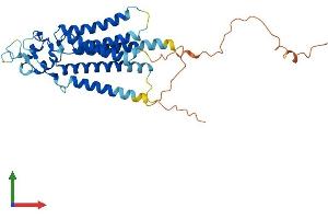 AlphaFold protein structure predicition of Human Recombinant PLPPR1 Protein, UniprotID Q8TBJ4