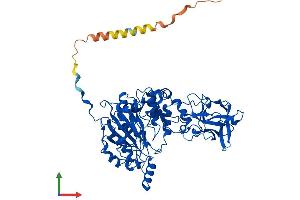 Protein Structure (PS) image for UDP-N-Acetyl-alpha-D-Galactosamine:polypeptide N-Acetylgalactosaminyltransferase 12 (GalNAc-T12) (GALNT12) (AA 1-581) protein (His tag) (ABIN7554009)