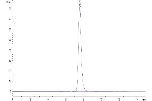The purity of Human CHODL is greater than 95 % as determined by SEC-HPLC.