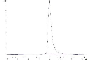 Size-exclusion chromatography-High Pressure Liquid Chromatography (SEC-HPLC) image for Butyrophilin, Subfamily 1, Member A1 (BTN1A1) (AA 27-242) protein (His-Avi Tag,Biotin) (ABIN7274008)