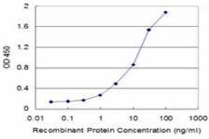ELISA image for anti-Enoyl CoA Hydratase, Short Chain, 1, Mitochondrial (ECHS1) (AA 13-290) antibody (ABIN515150)