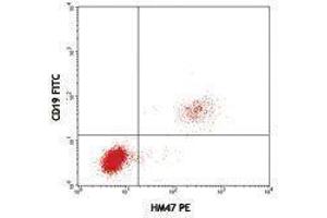 Flow Cytometry (FACS) image for anti-B-cell antigen receptor complex-associated protein alpha chain (CD79A) antibody (PE) (ABIN2663582) (CD79a 抗体  (PE))