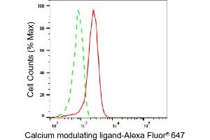 Flow cytometric analysis of Calcium modulating ligand expression in HeLa cells using Calcium modulating ligand antibody (ABIN7797829), 1:1,000). (CAMLG 抗体)